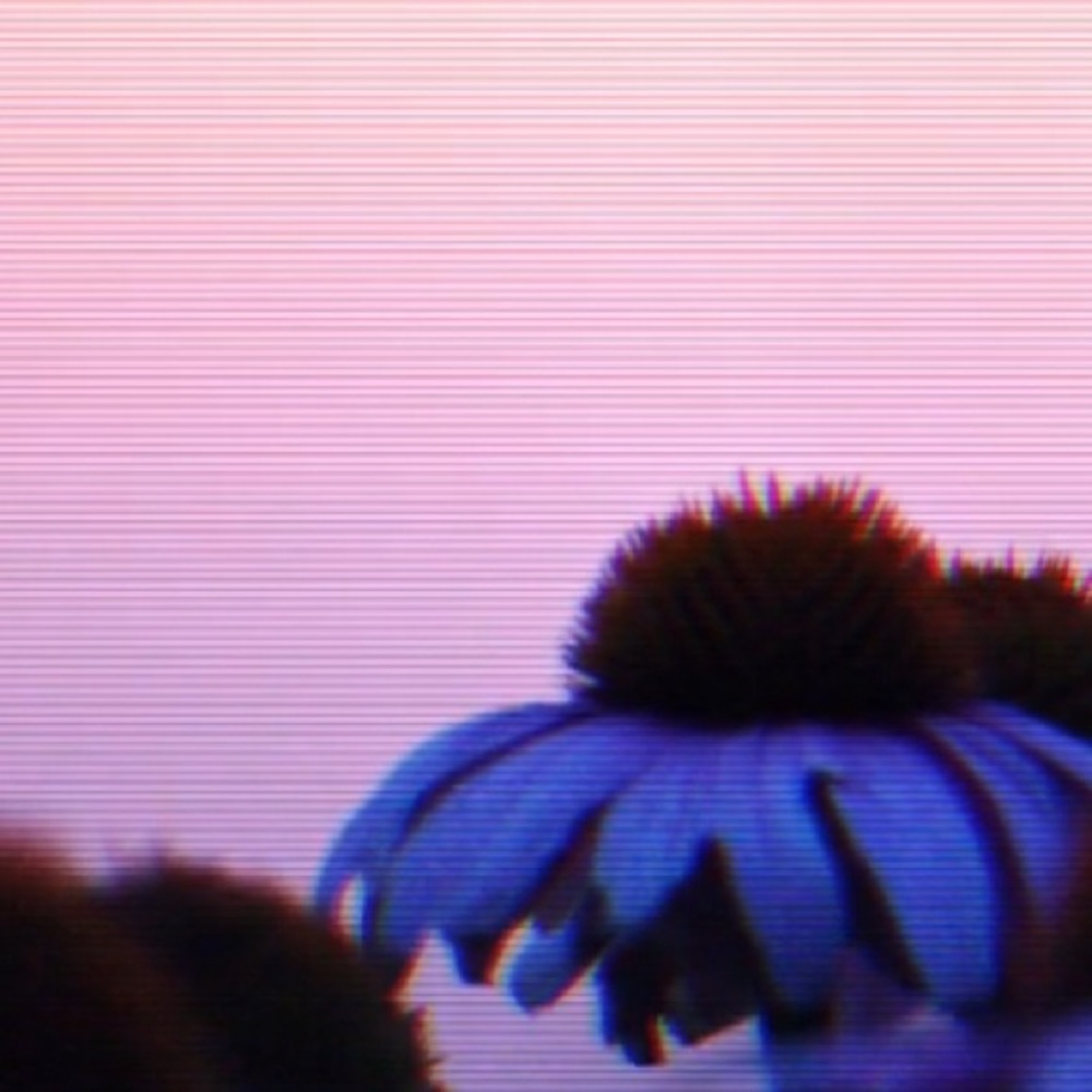 Meet your Posher, Gabriel